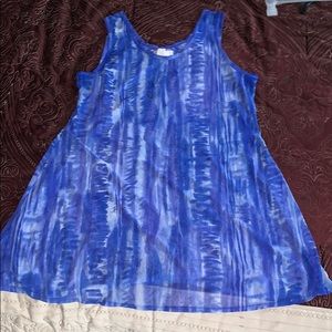 Shear Swimsuit Cover